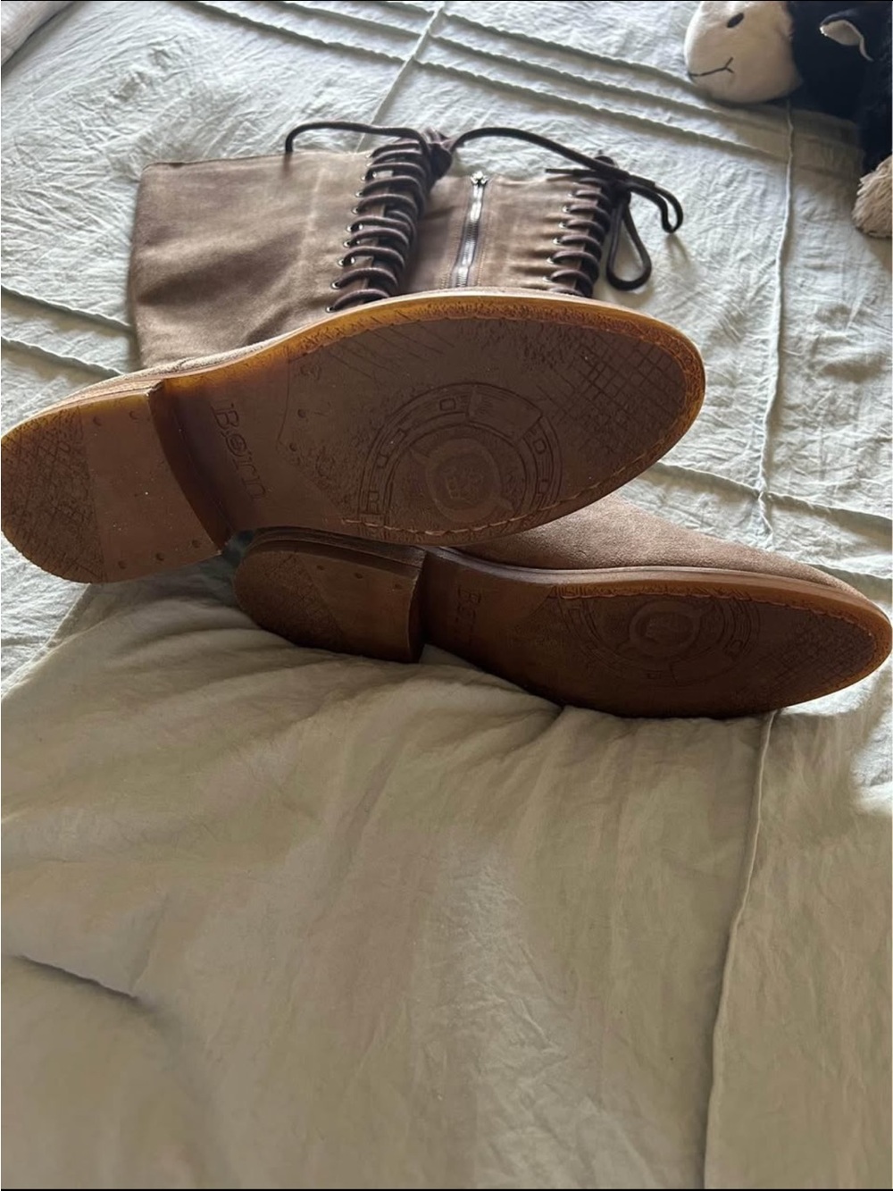 Born Tall Lace-Up Suede Boots in Brown - Picture 3 of 3
